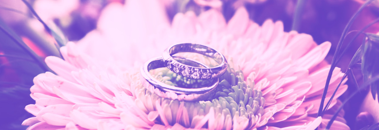 Simple yet luxurious wedding bands emphasizing minimalism